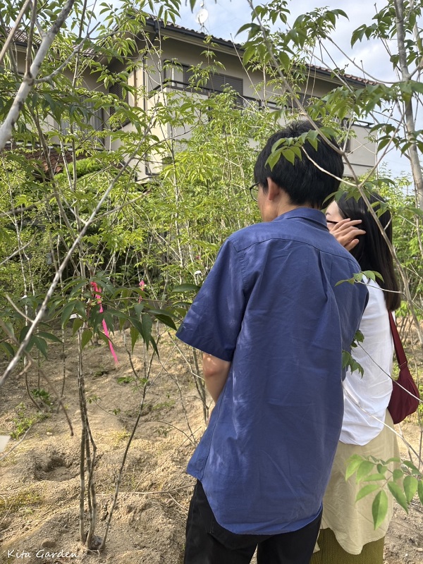 兵庫県川西市での庭リフォームでの植栽選び