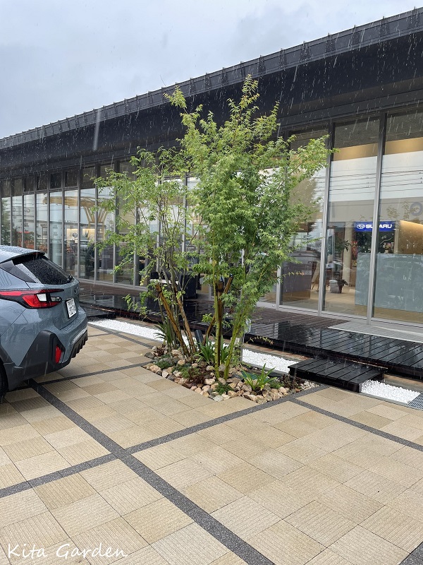 奈良スバルショールームの植栽管理