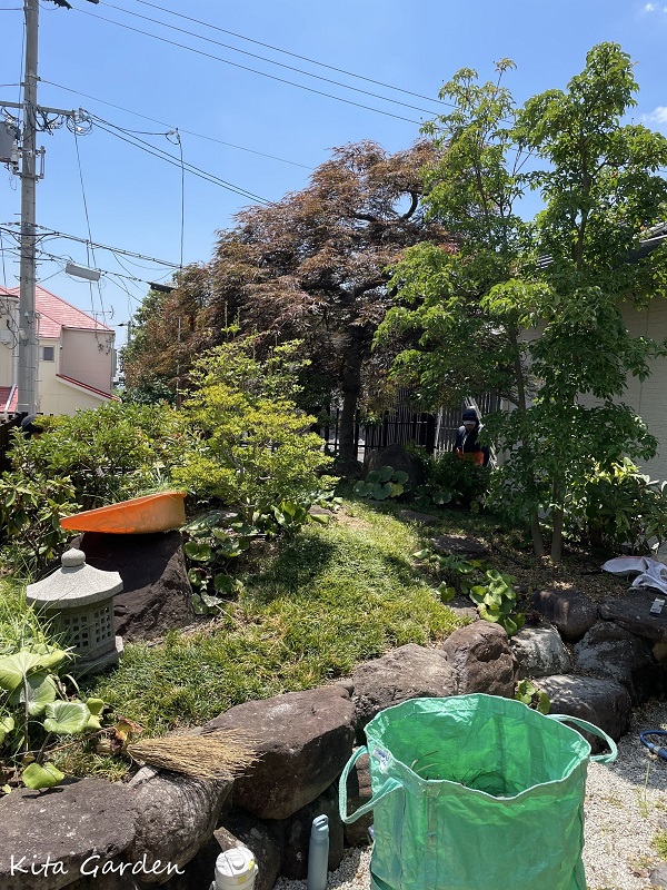 神戸市のお庭での草引き工事