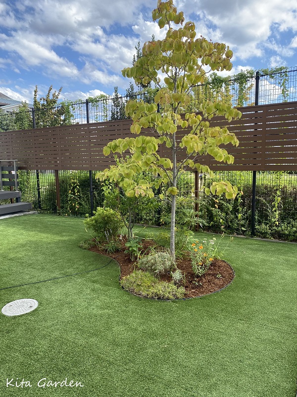 伊丹市の庭の植栽のリフォーム工事