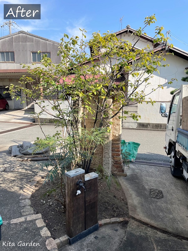加古川市の庭の植木メンテナンス