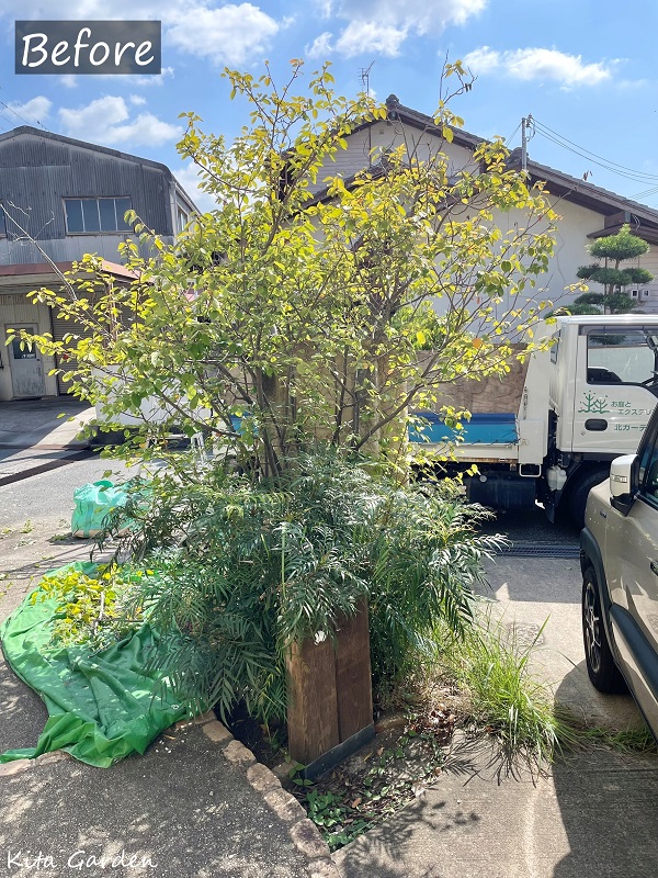 加古川市の庭の植木メンテナンス