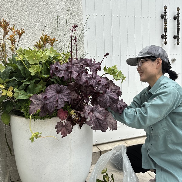 西宮市での花の植え替え工事