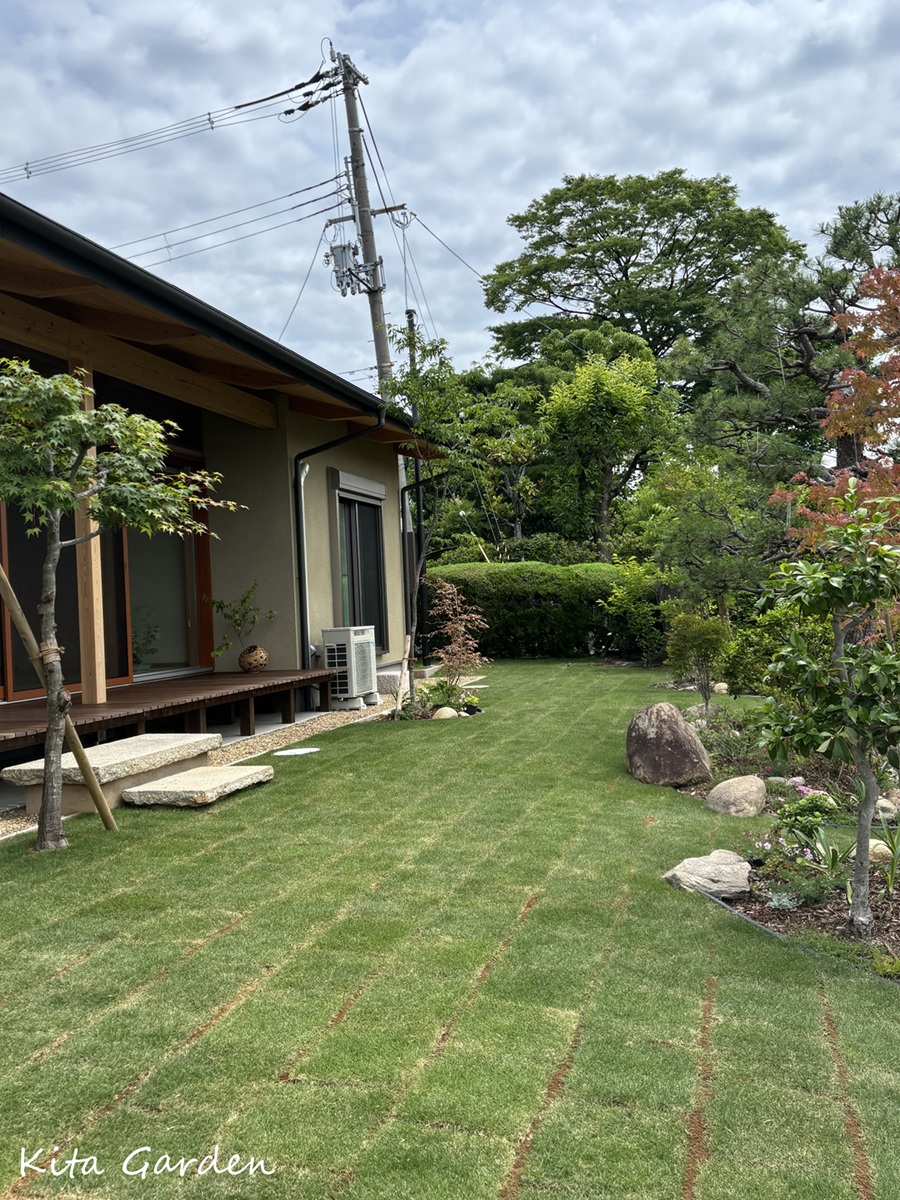 吹田市で工事した和の植栽と芝生の庭