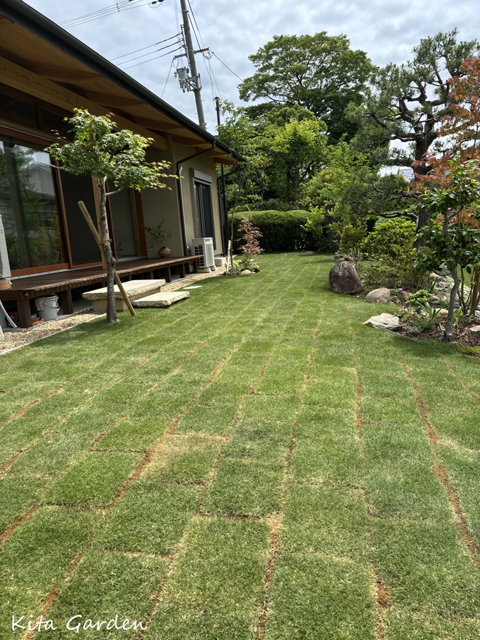吹田市で工事した芝生の庭と和の植栽