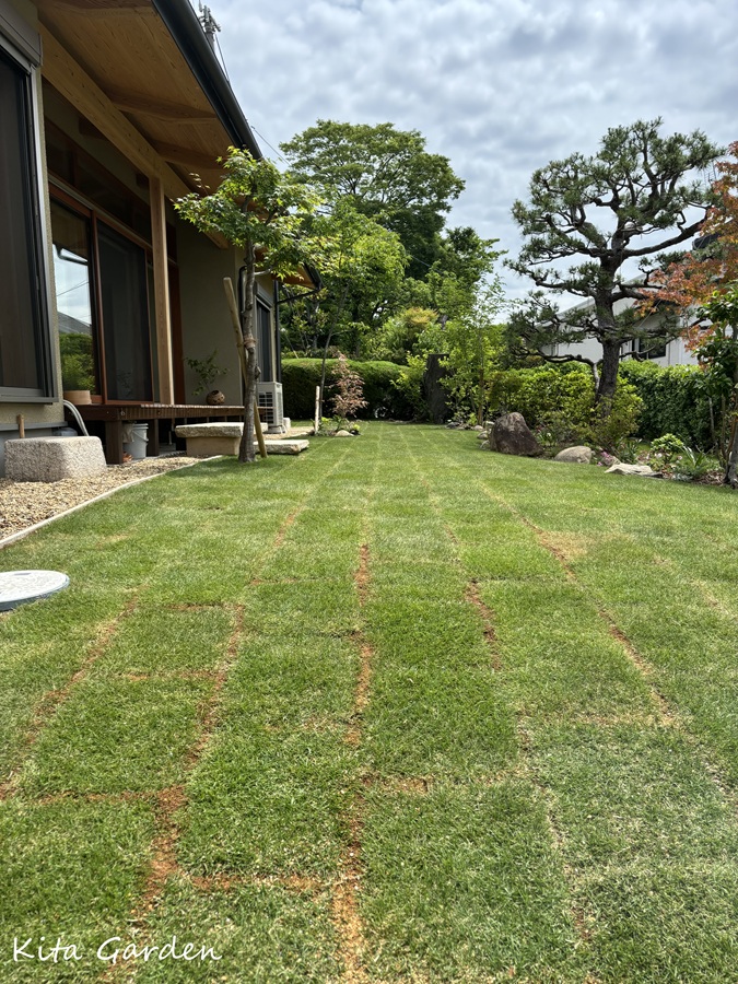吹田市の和モダンな家で工事した芝生の庭