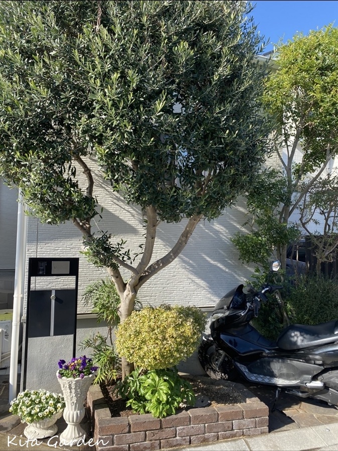 宝塚市での植栽リフォーム工事事例