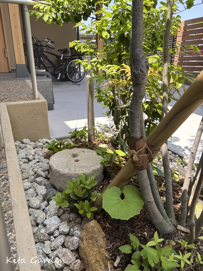 吹田市の外構での植栽