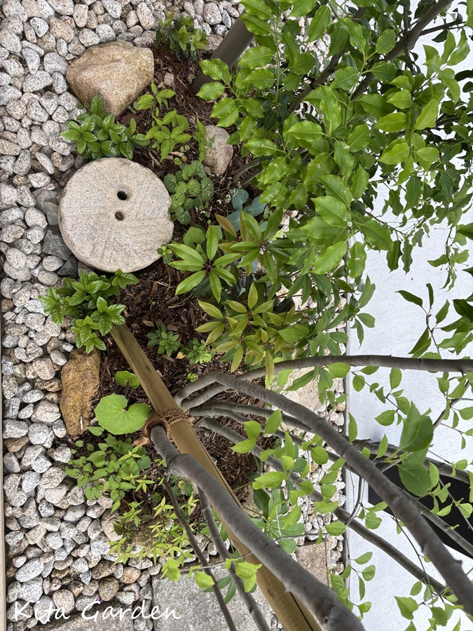 石臼をポイントに置いた植栽