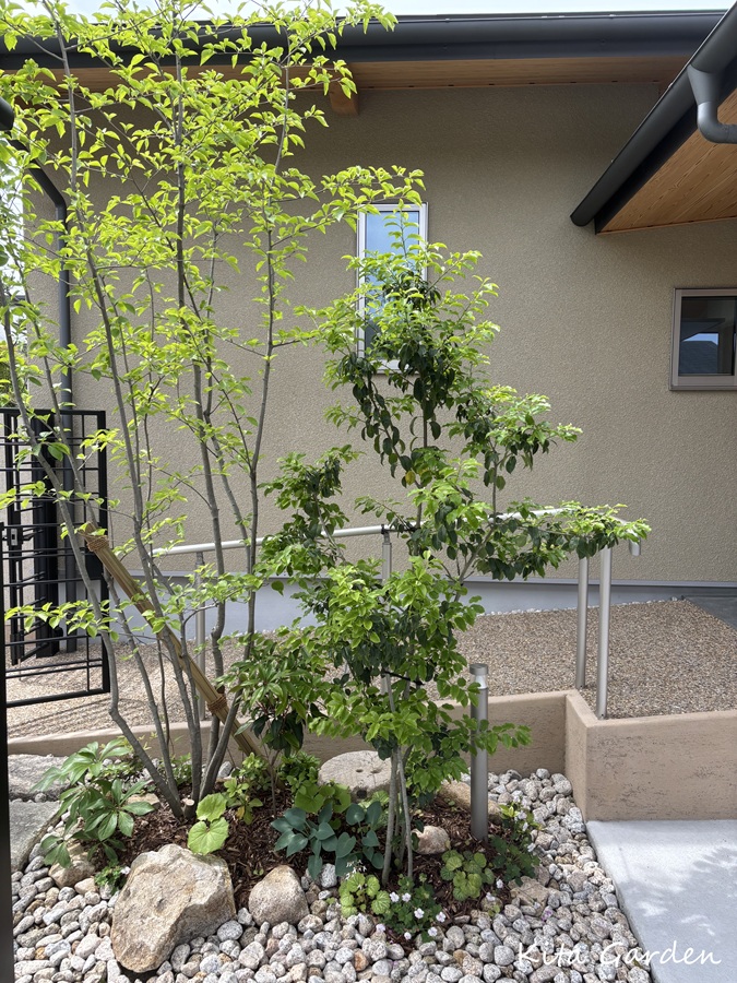 吹田市外構工事の植栽