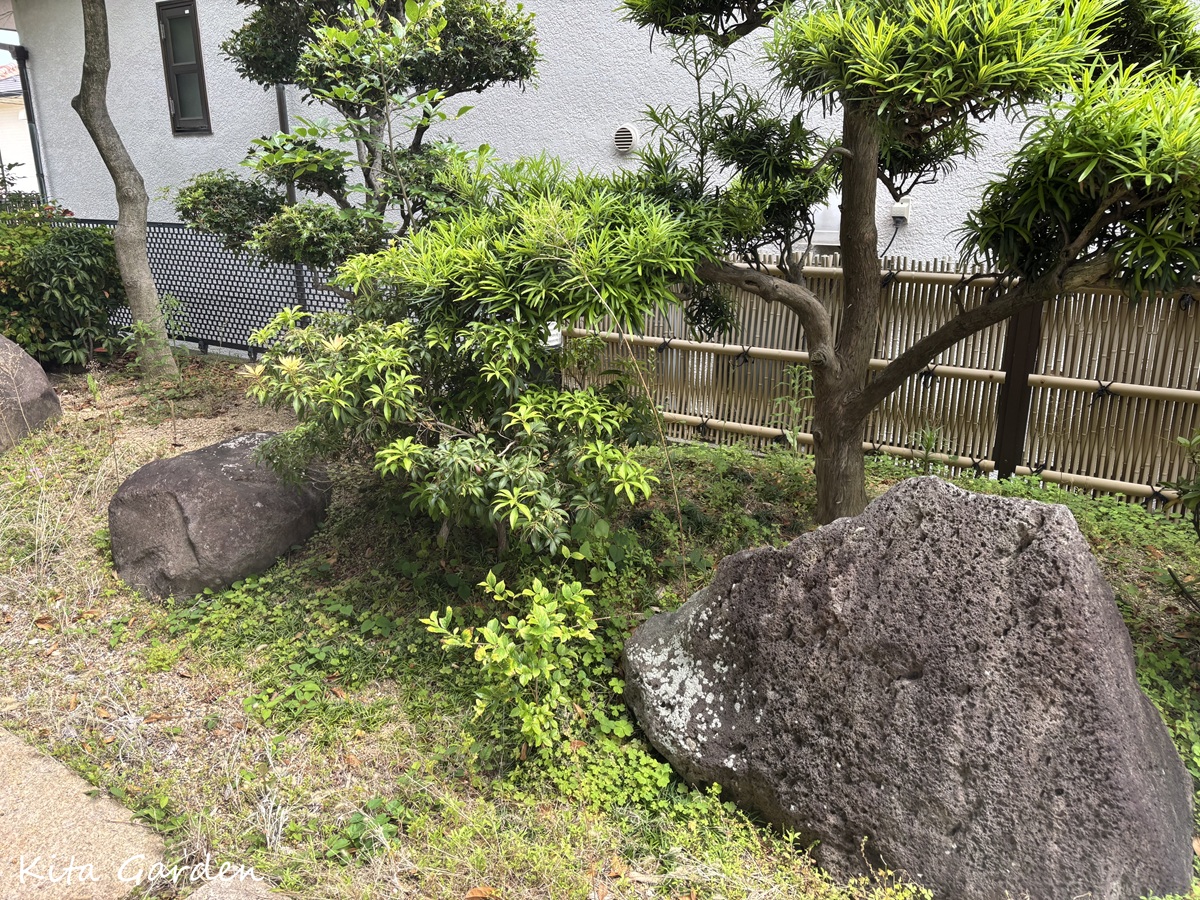 西宮市の庭リフォーム工事前の庭の石
