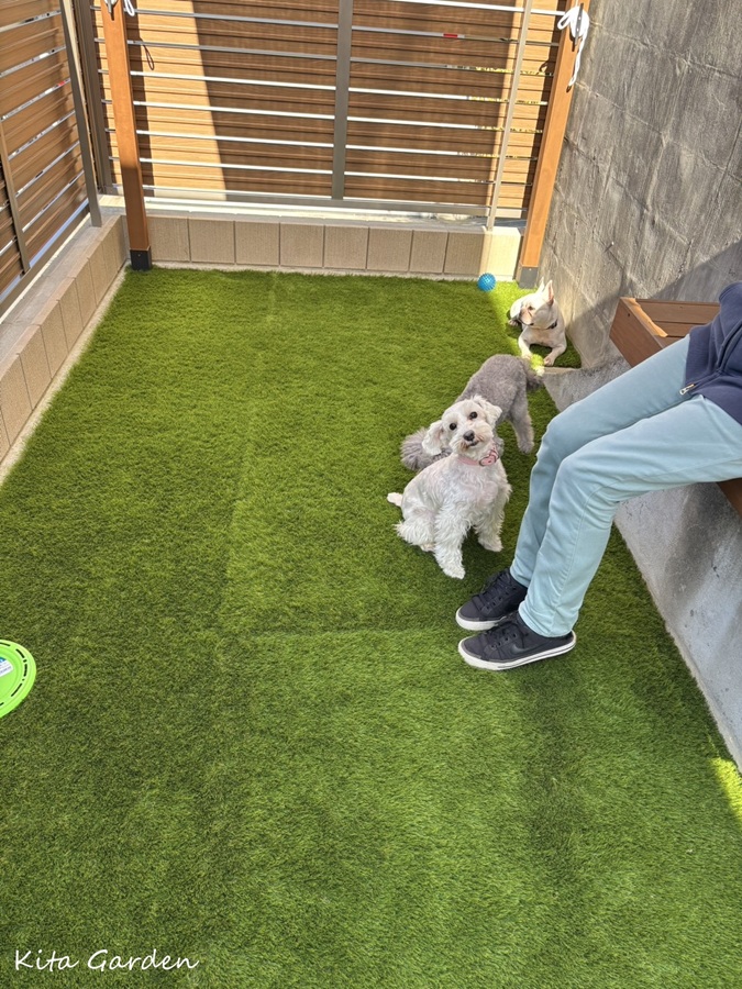 吹田市庭リフォーム施工事例ペットガーデン