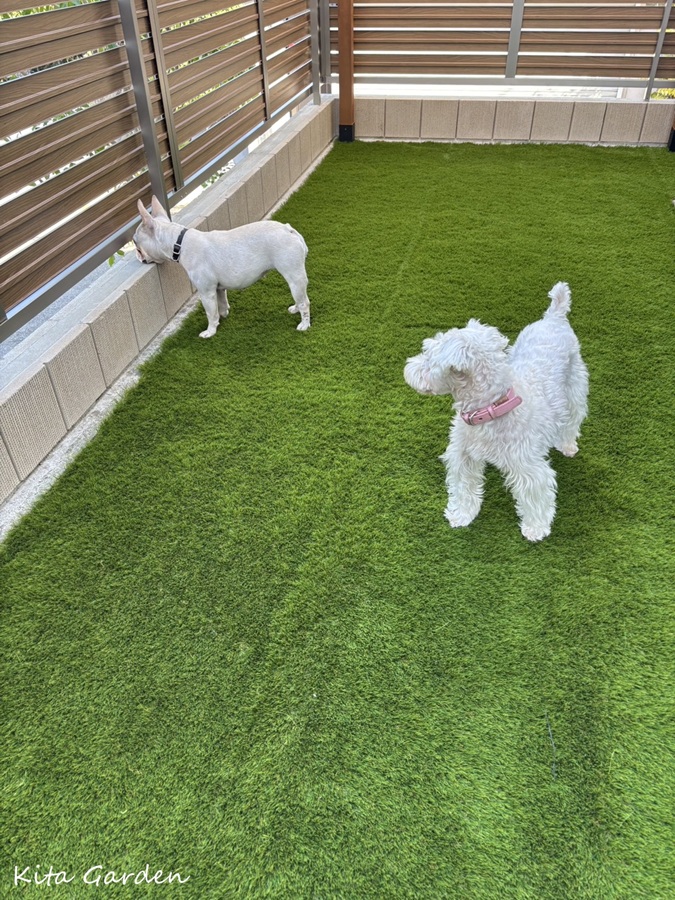 吹田市で工事したペットガーデン