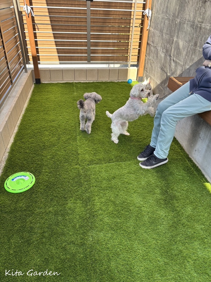 吹田市庭リフォームで施工したペットガーデン