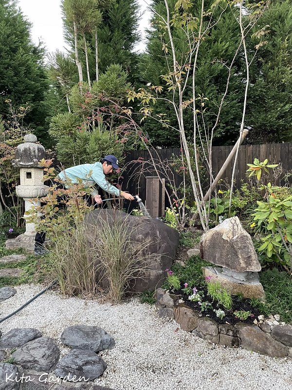 兵庫大阪でのお庭のメンテナンス工事