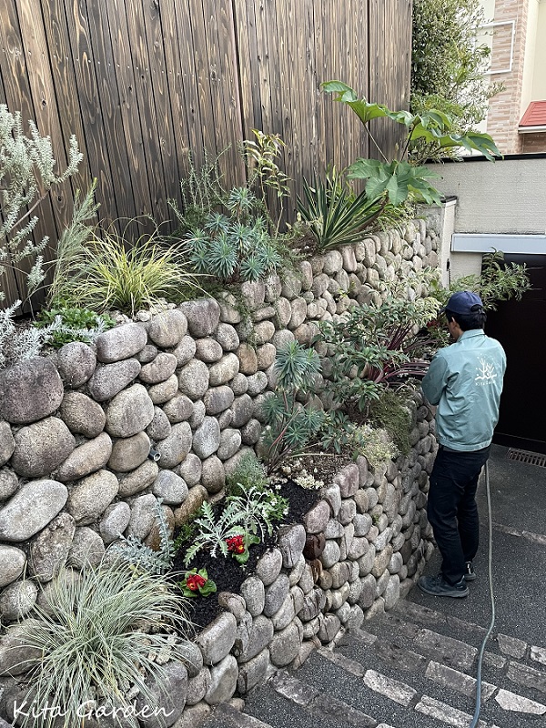 神戸市のお庭のメンテナンスと花の植え替え工事