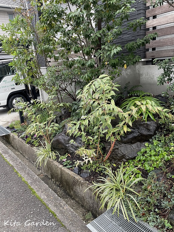 高槻市のロックガーデンのメンテナンス