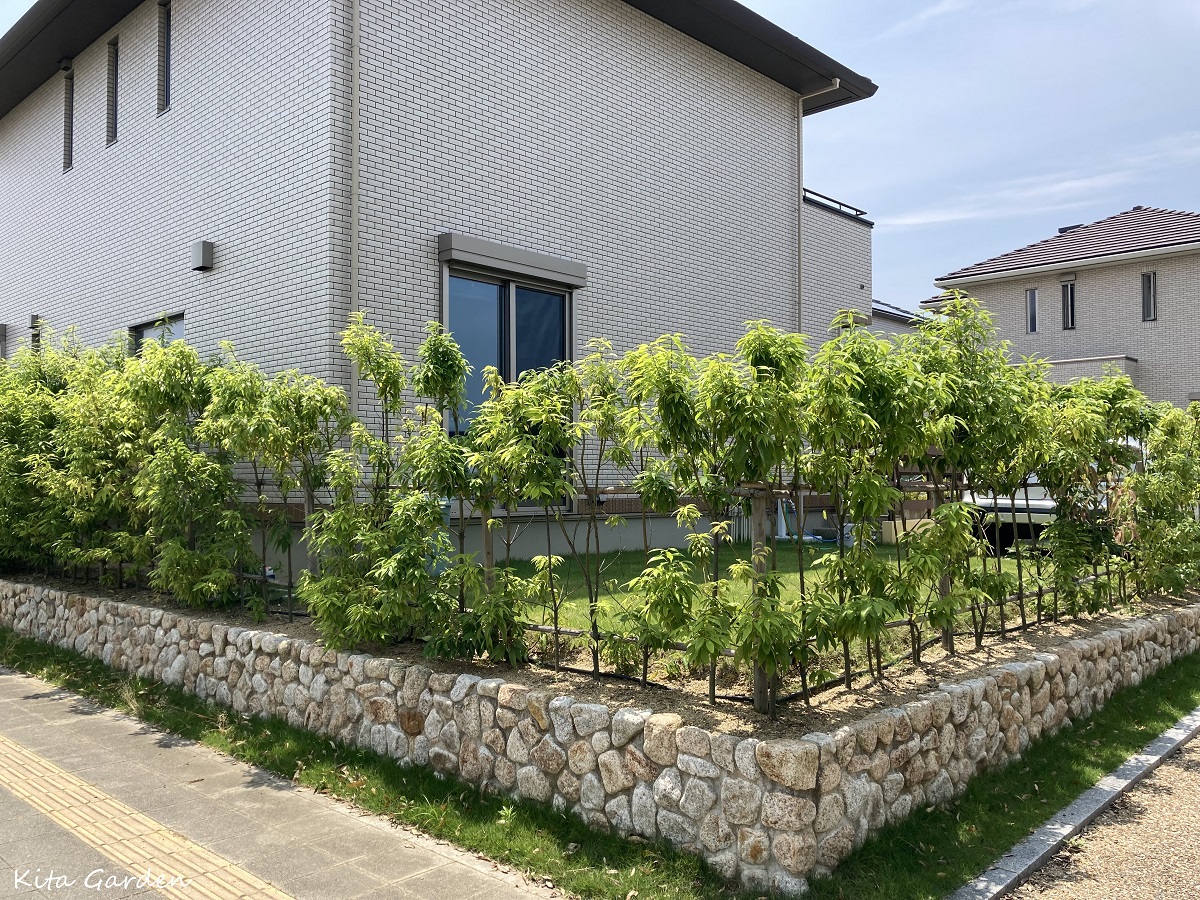 芦屋市生垣からフェンスへリフォーム工事