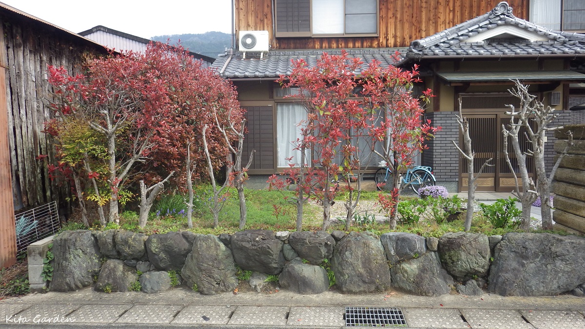 京都での生垣からのフェンスリフォーム工事