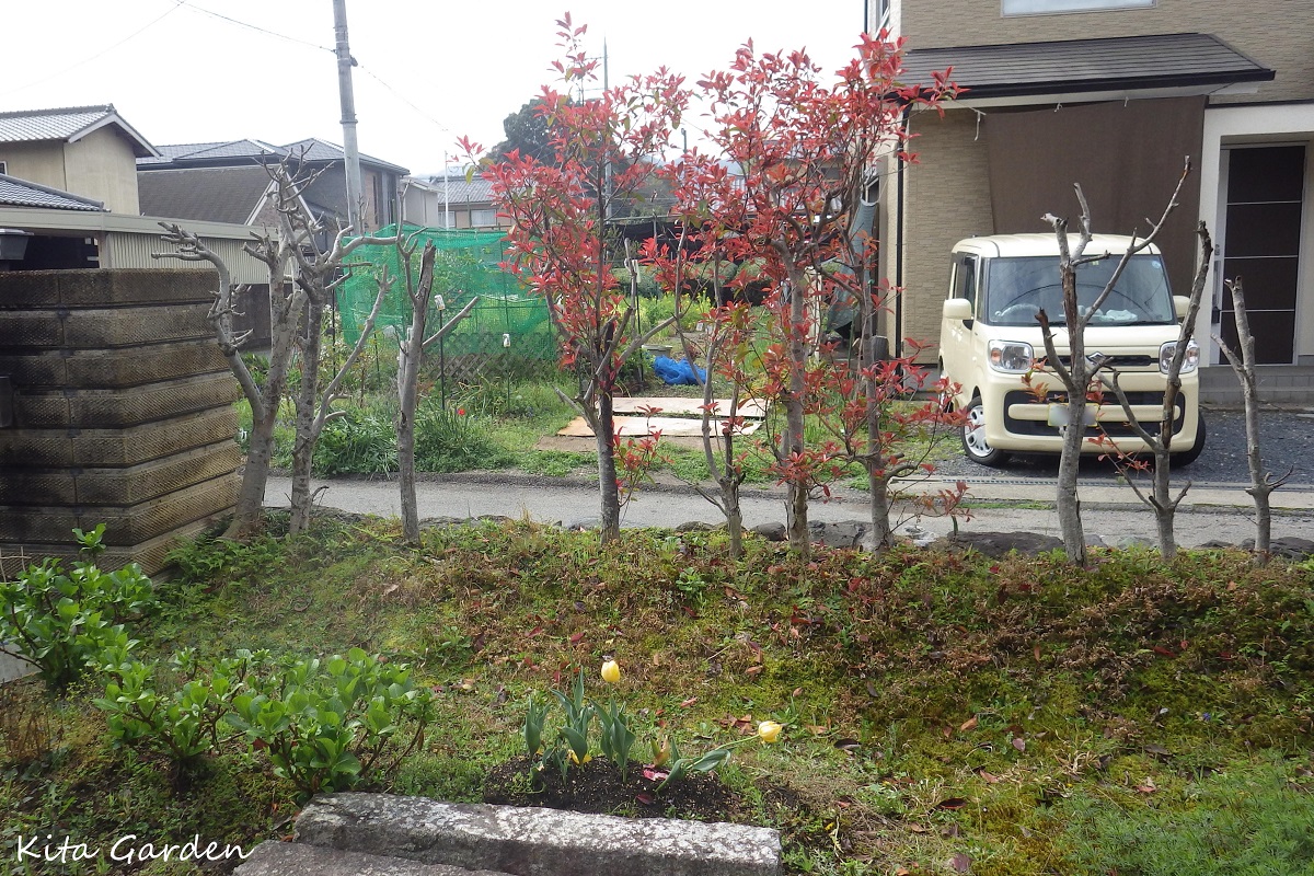 京都での庭リフォーム工事