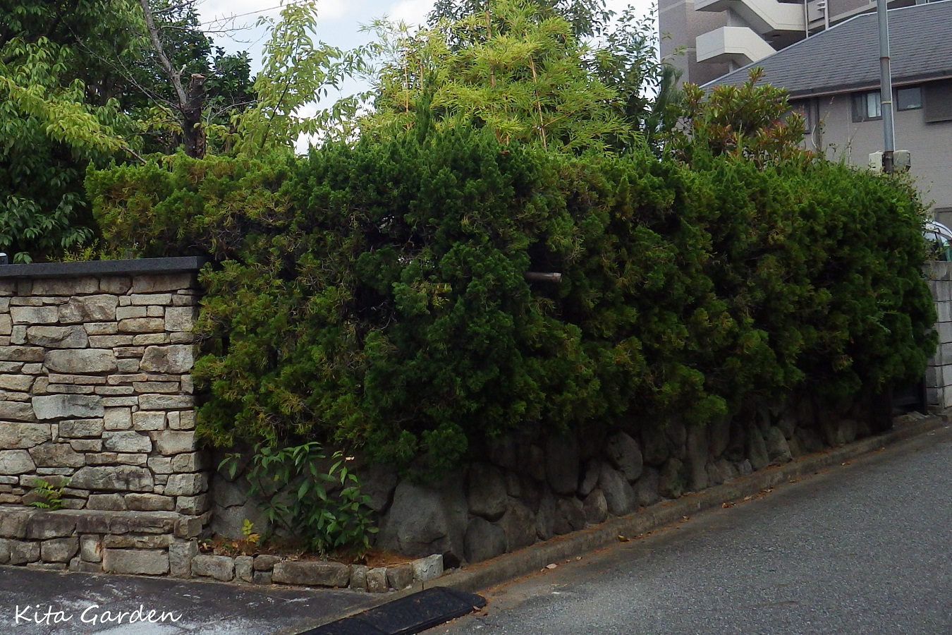 生垣のリフォーム