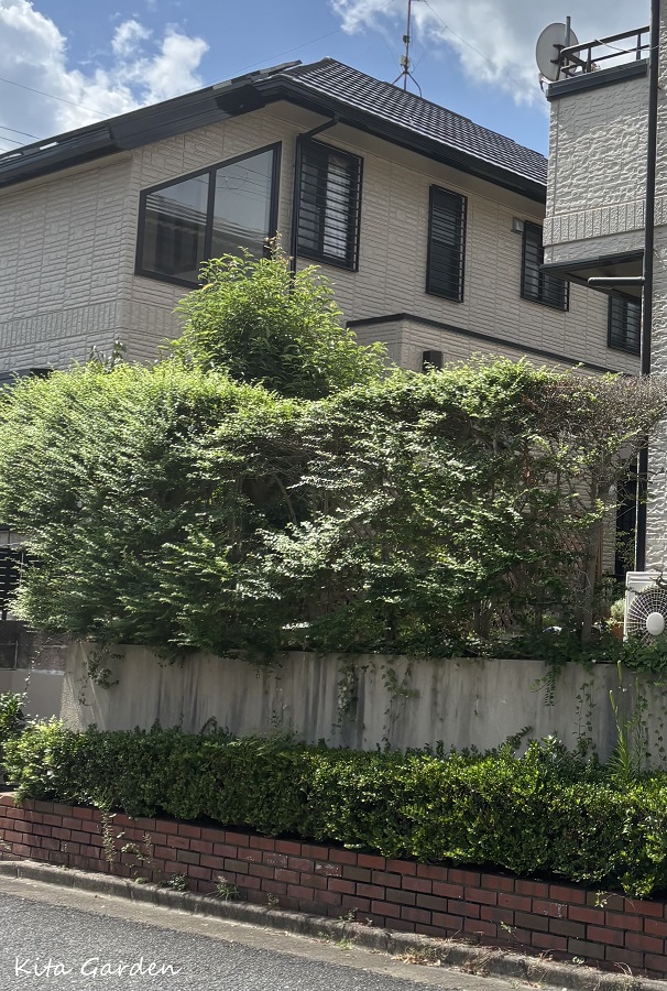 川西市生垣から管理しやすい植栽リフォーム工事