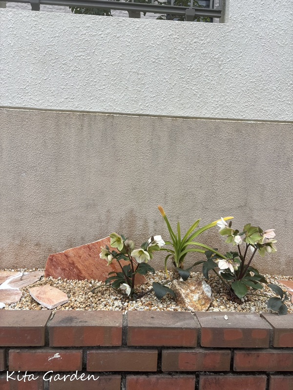 川西市生垣から管理しやすい植栽リフォーム工事