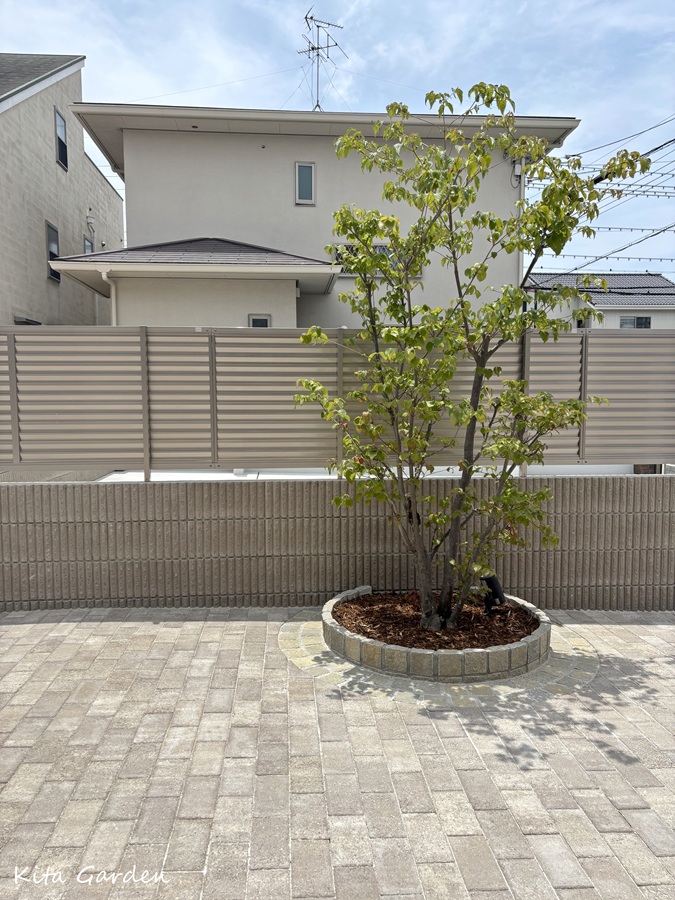 伊丹市庭リフォームの庭木の移植事例