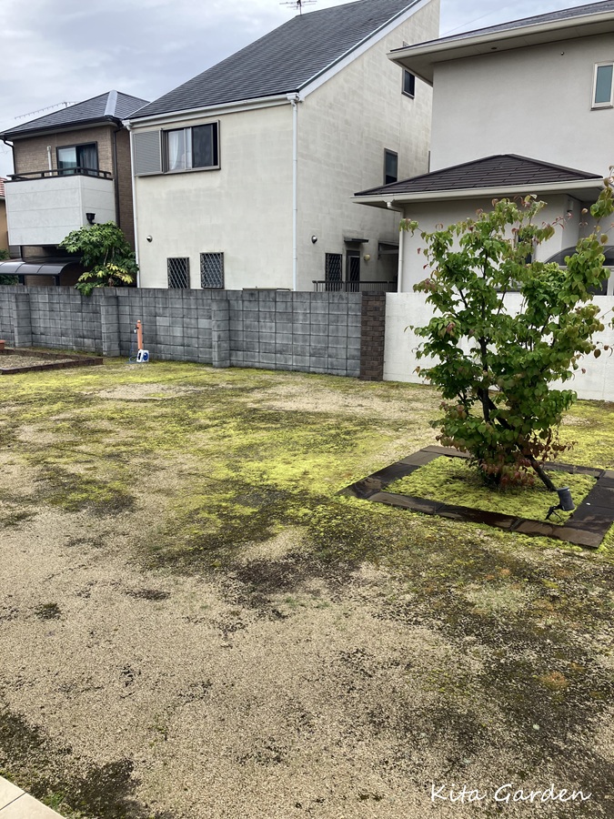 伊丹市庭リフォームの庭木の移植工事