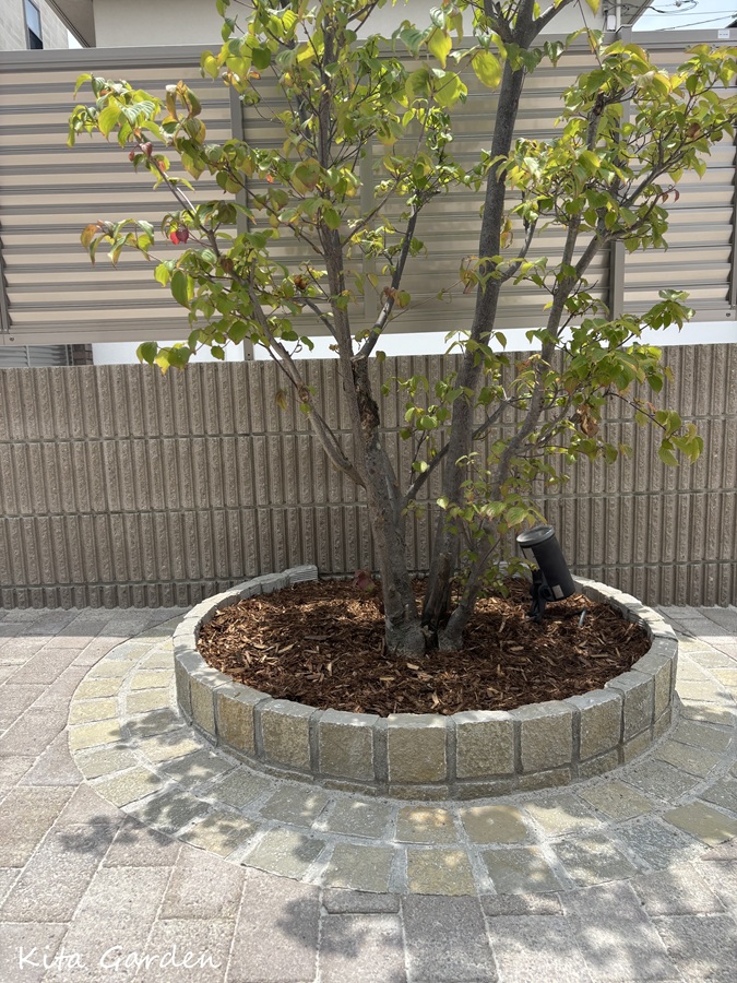 伊丹市庭リフォームの円形花壇に植えた庭木