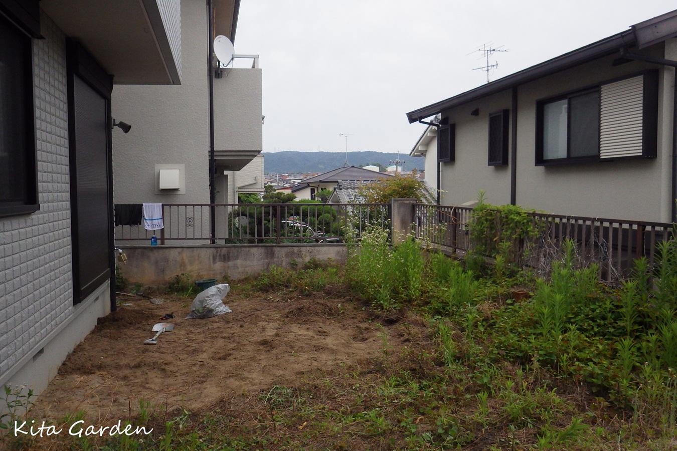 庭の雑草が増える原因